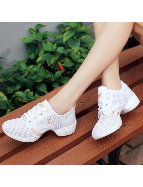 Spring And Summer New Mesh Breathable Adult Male And Female Dance Shoes Soft Sole Preschool Children's Jazz Fitness Square Dance Dance Shoes